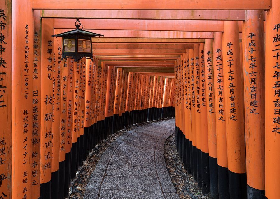 Les torii du sanctuaire Fushimi Inari à Kyoto