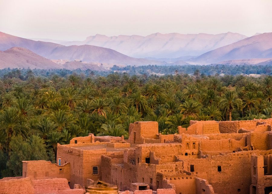 Kasbah et palmeraie au Maroc