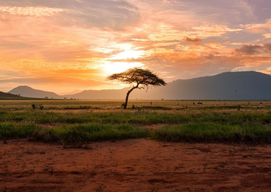 Coucher de soleil sur la savane africaine
