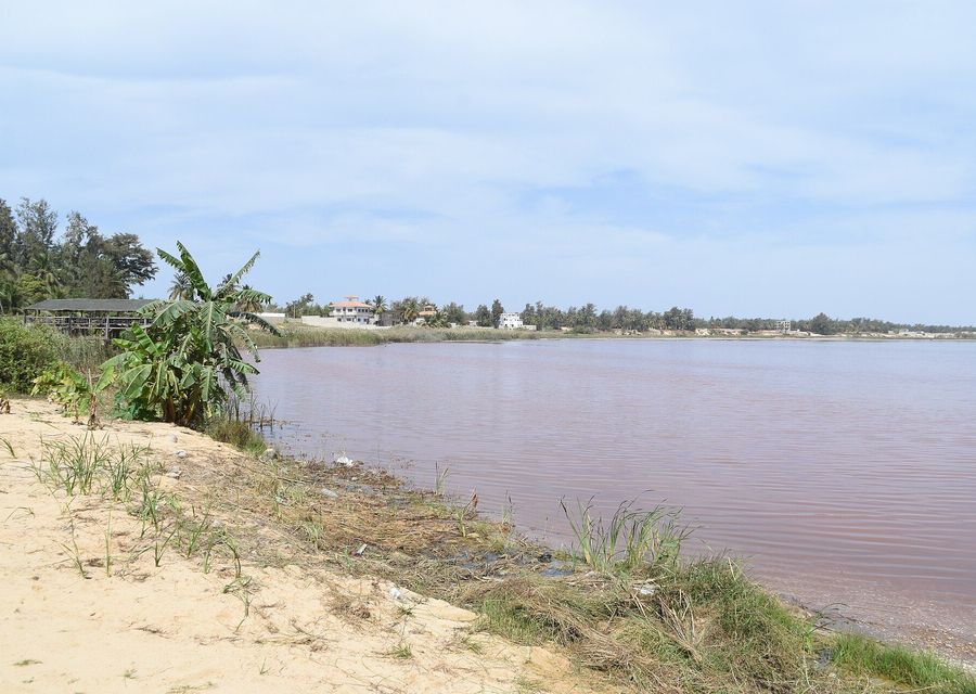 Les rives du lac Rose